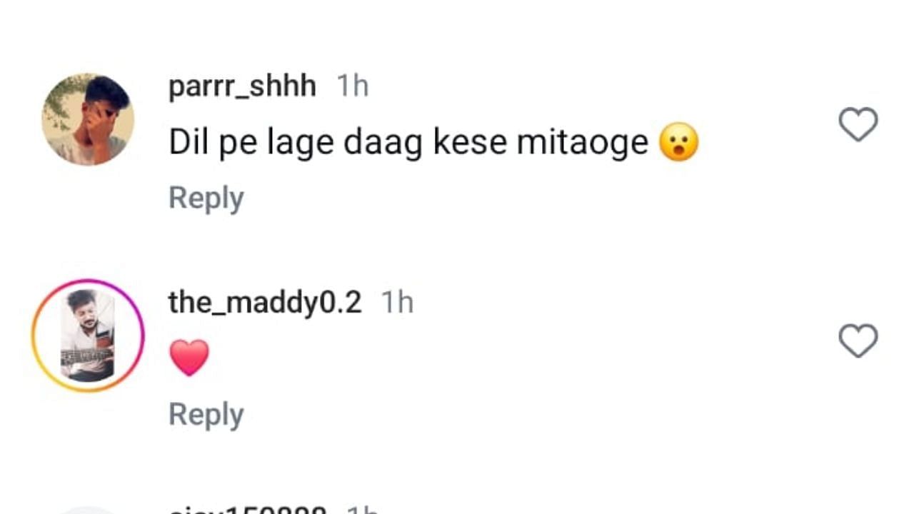 फैन कमेंट (photo credit: instagram/dhanashree9)